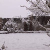 stock footage time lapse snowfall