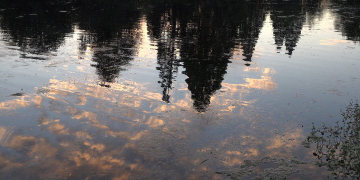 Trees and Clouds Reflecting On Water